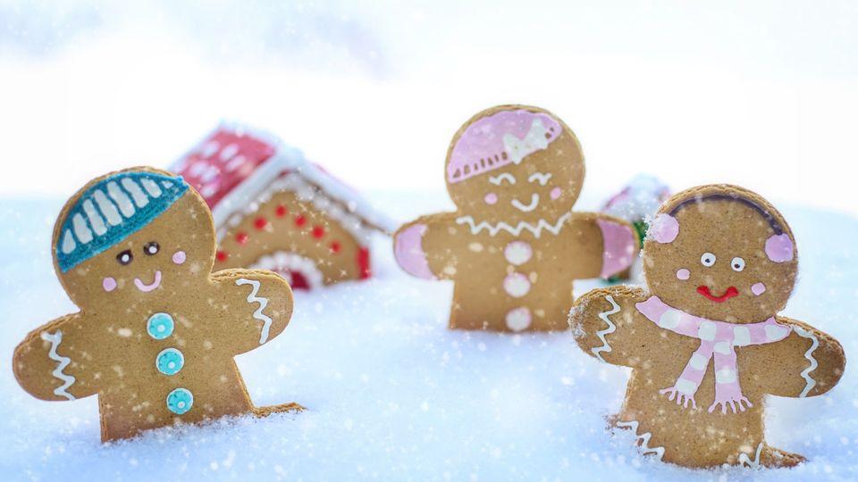 Gingerbreads in the snow